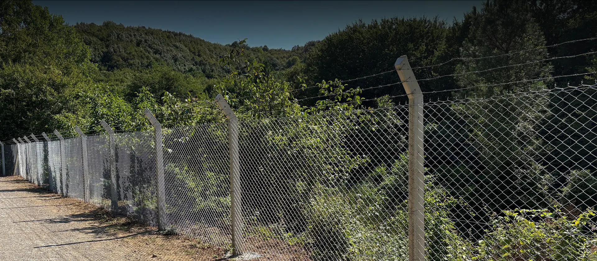 Chain Link Fence